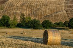 Campagna in Val d'orcia