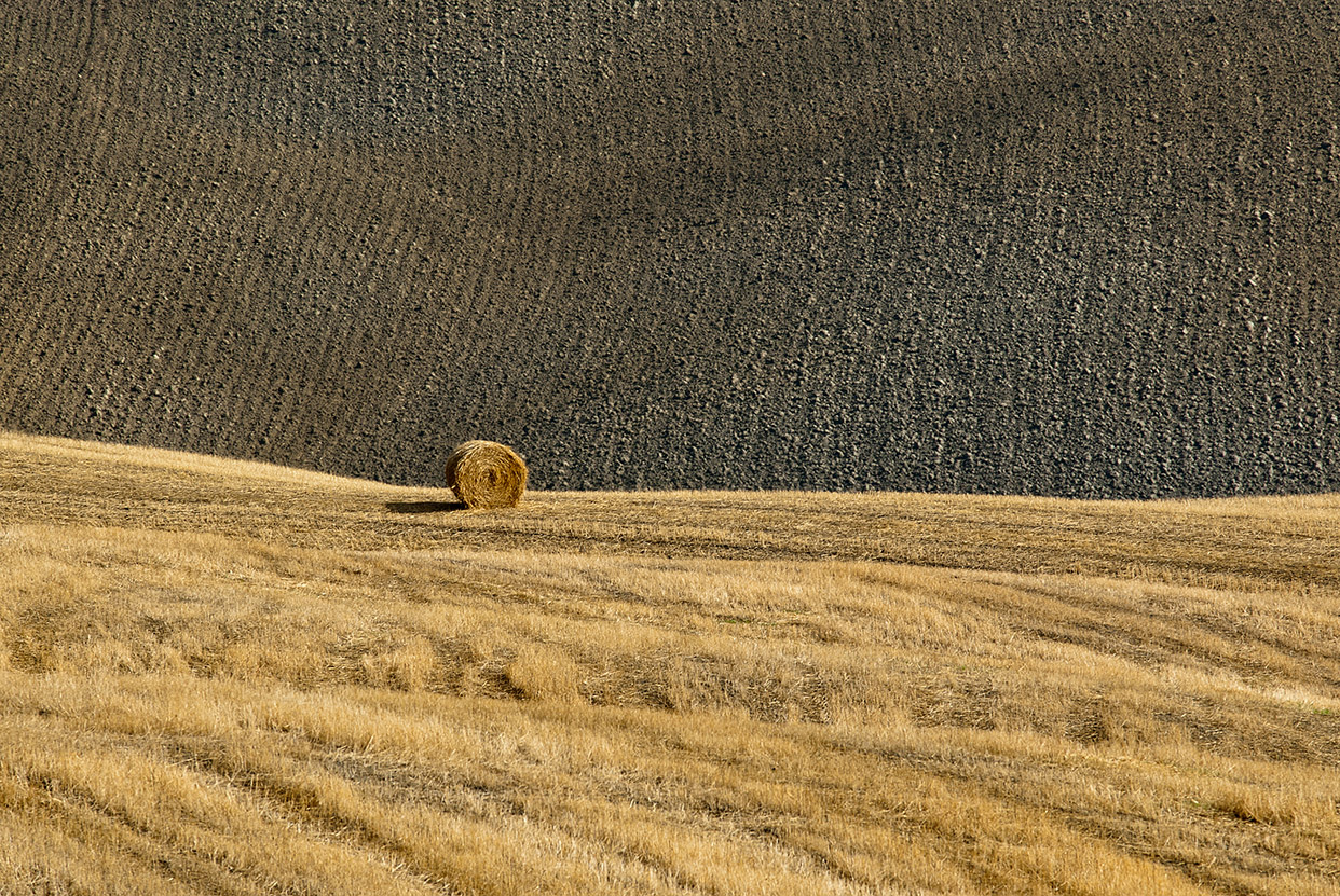 Campagna in val d'Orcia