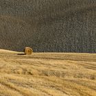Campagna in val d'Orcia
