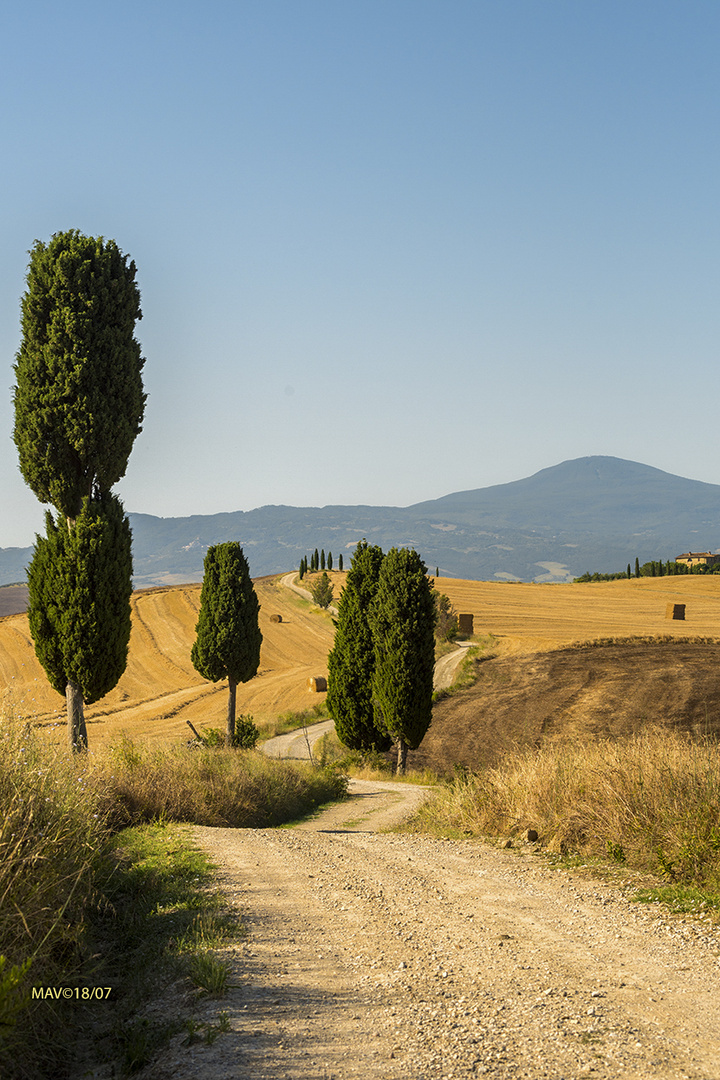 Campagna in Val d'Orcia