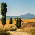 Campagna in Val d'Orcia