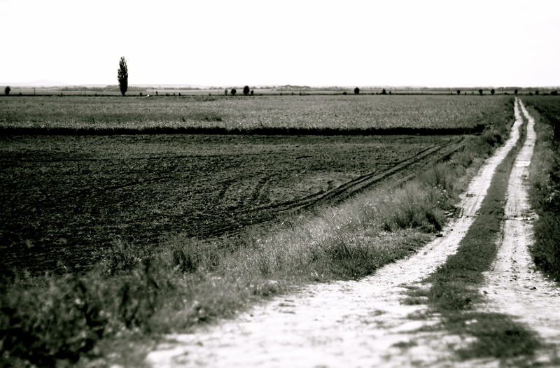 campagna infinita