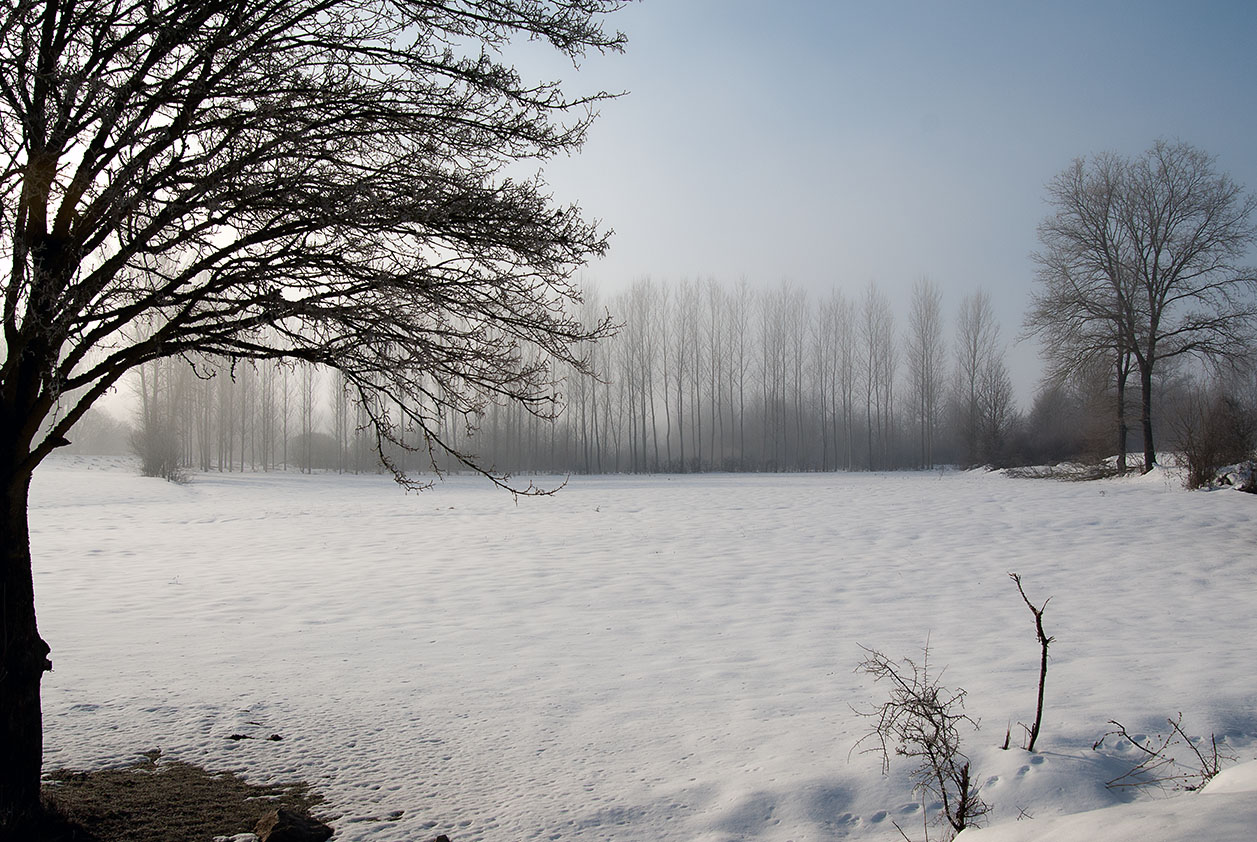 Campagna innevata.