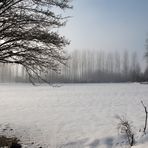 Campagna innevata.