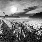 Campagna Invernale