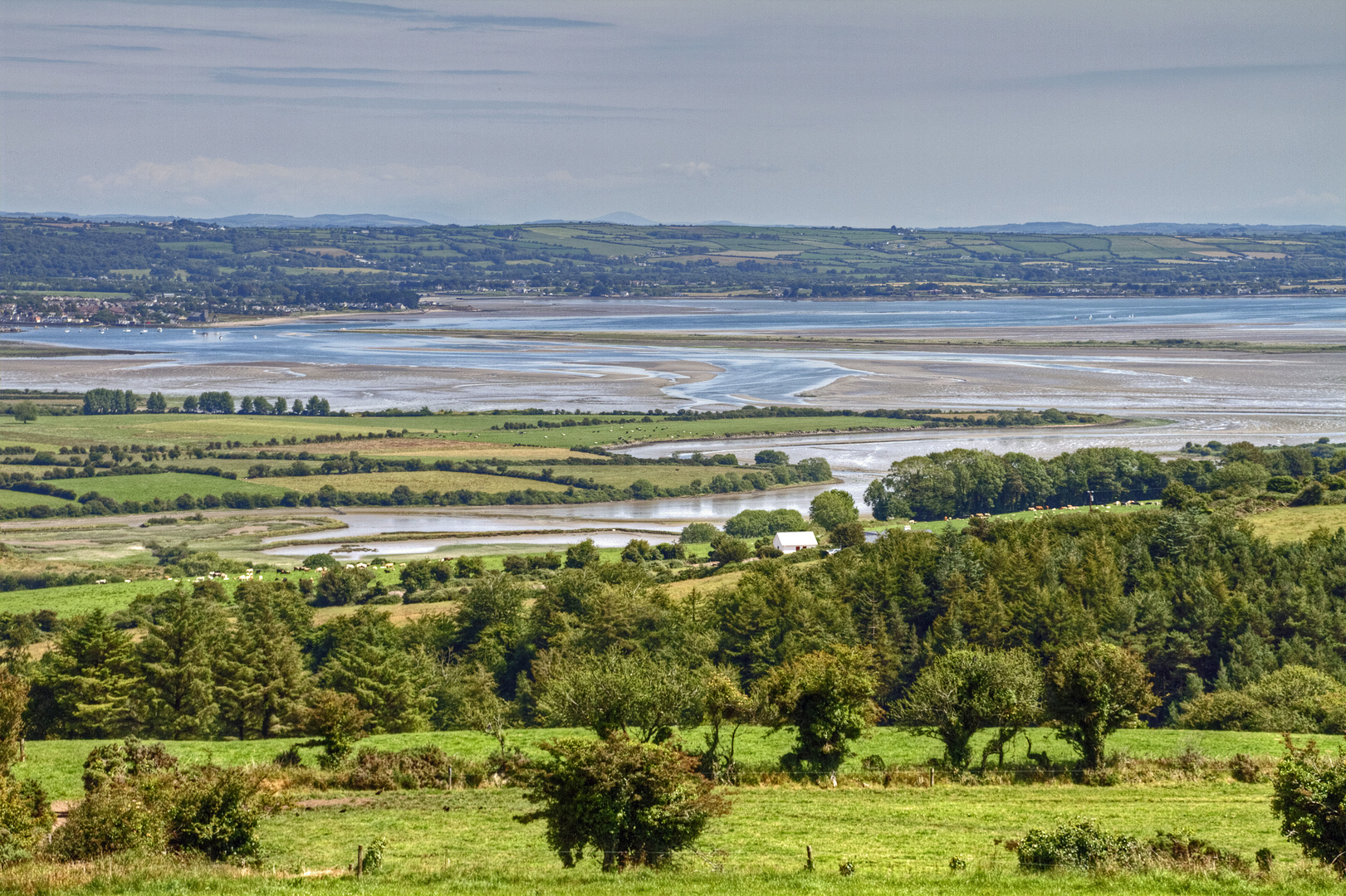 Campagna Irlandese