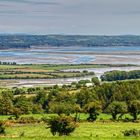 Campagna Irlandese