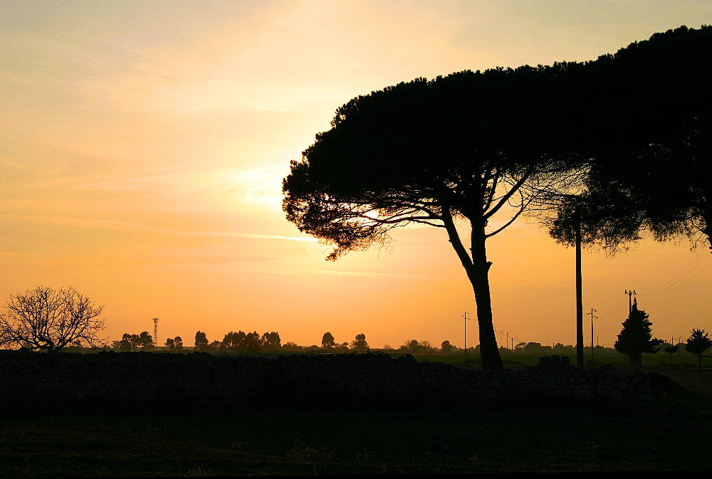 Campagna Lecce