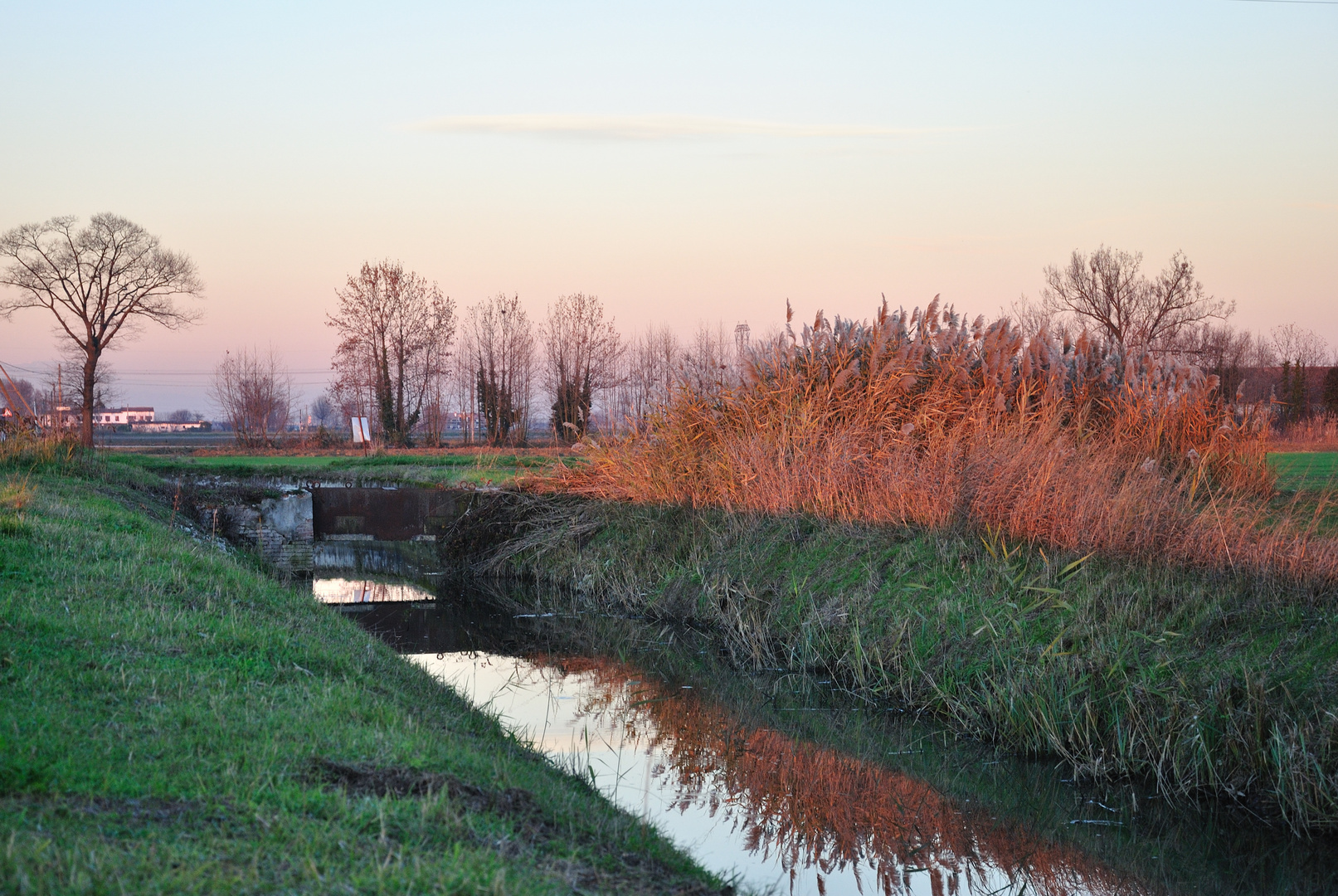 Campagna libera