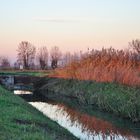 Campagna libera