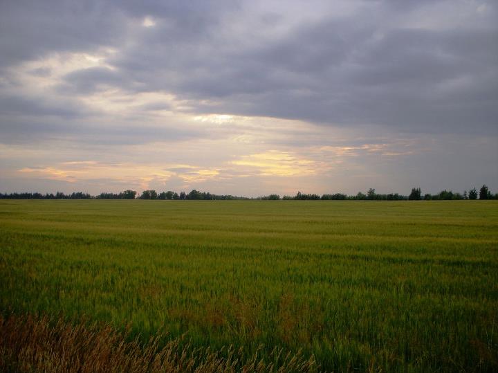 campagna lituana...in viaggio verso la collina delle croci