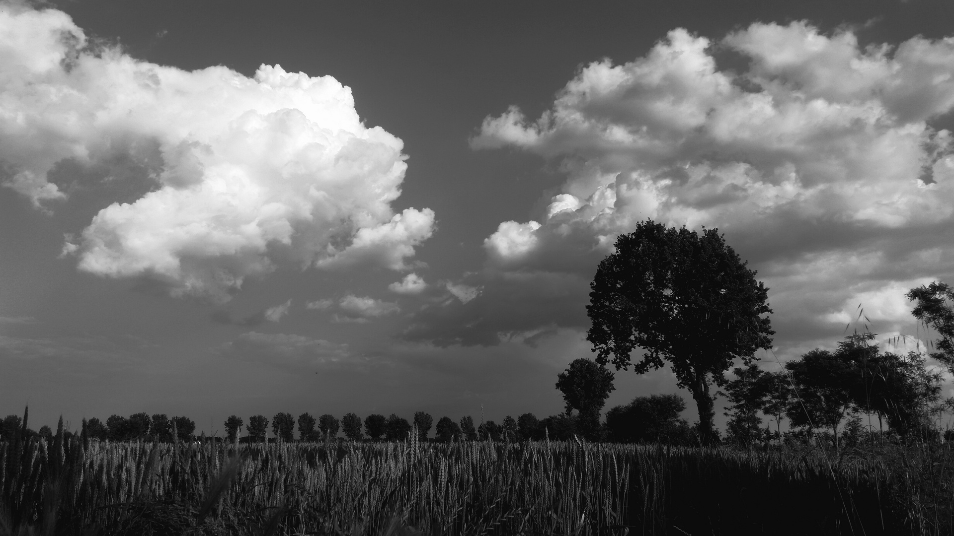 Campagna Lombarda