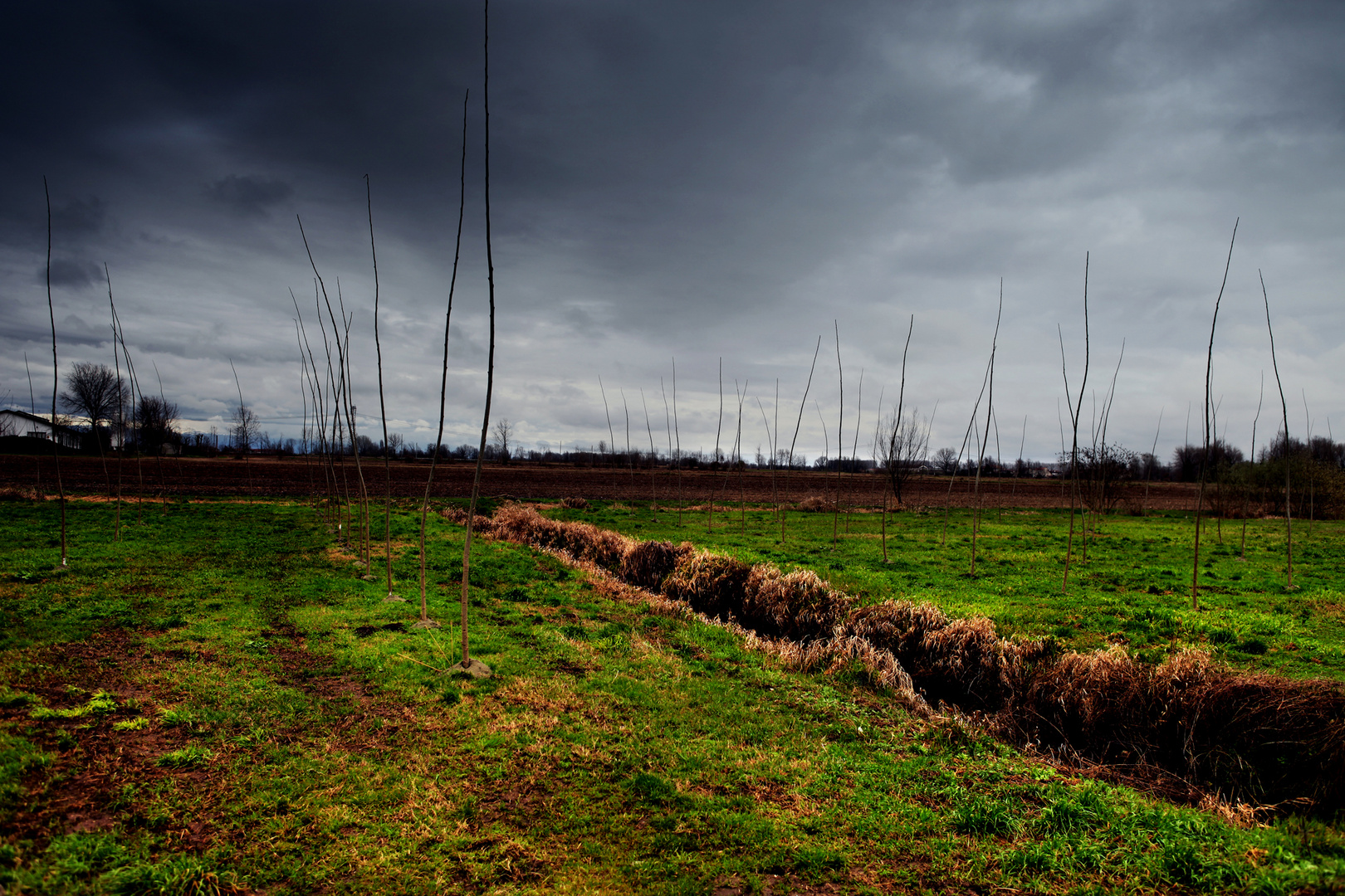 campagna mantovana