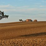 Campagna Marchigiana