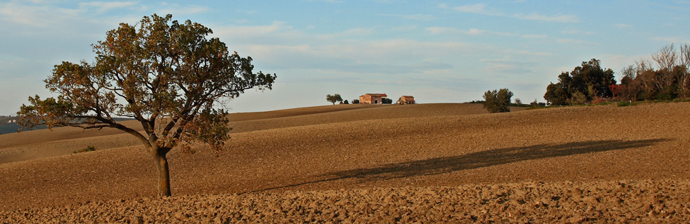 Campagna Marchigiana