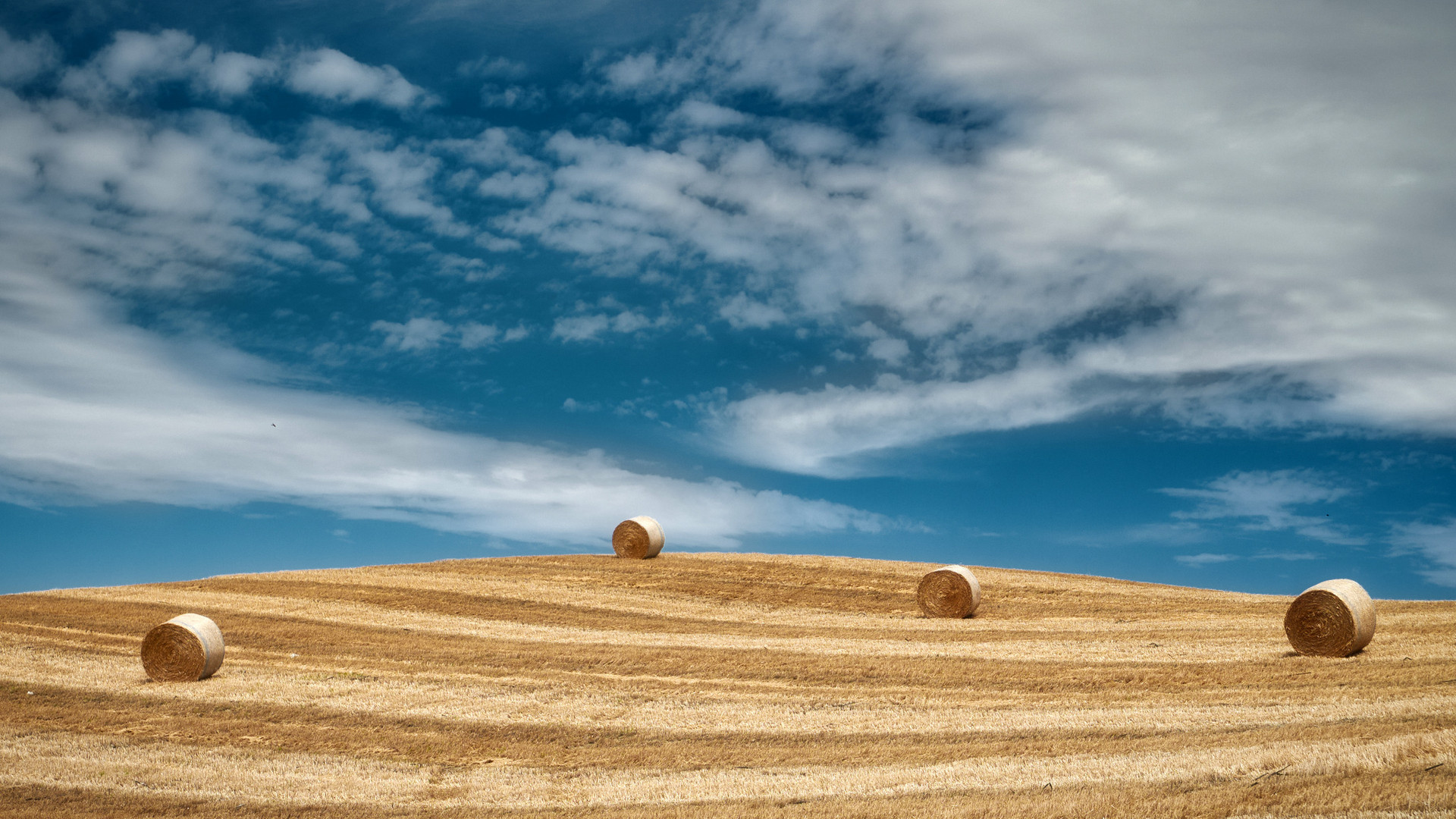 Campagna marchigiana