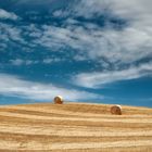 Campagna marchigiana