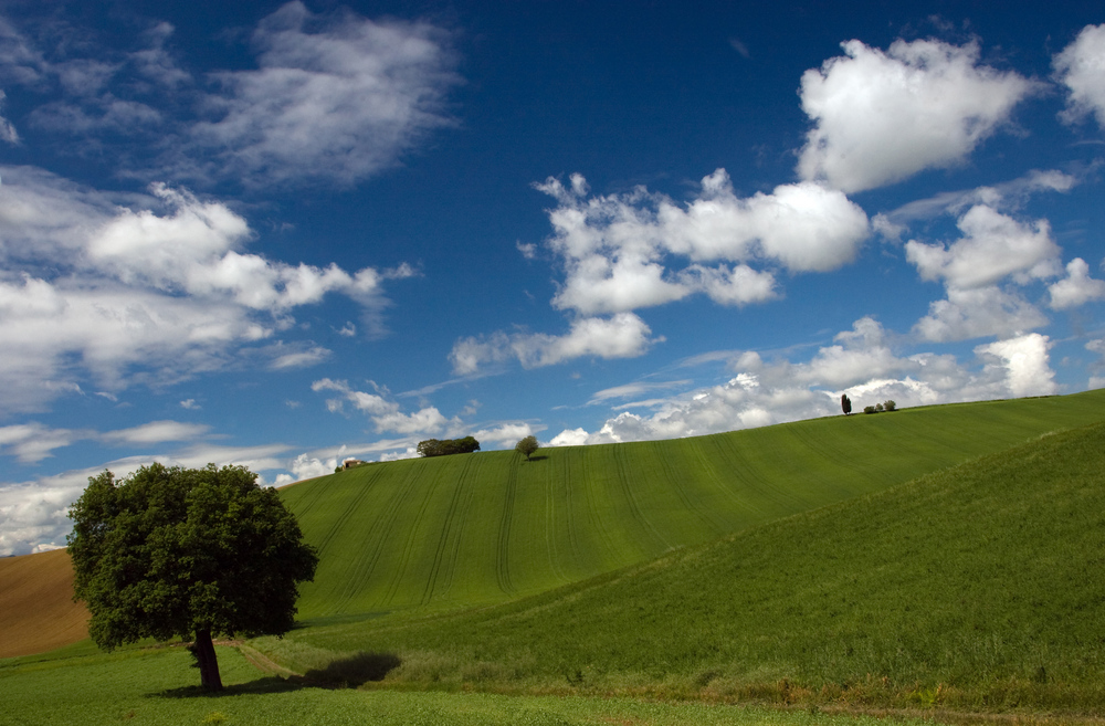 campagna marchigiana 3 Foto Immagini paesaggi, natura Foto su