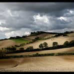 campagna marchigiana