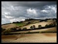 campagna marchigiana di Flavio Petrini