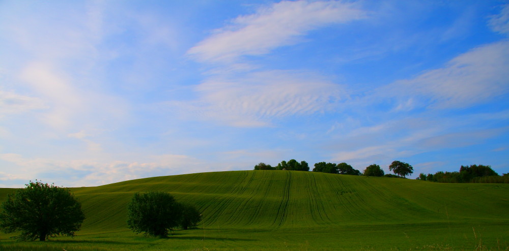 campagna marchigiana