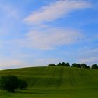 campagna marchigiana