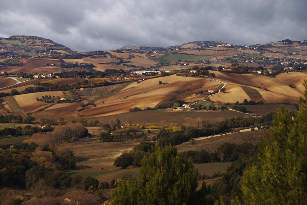 campagna marchigiana