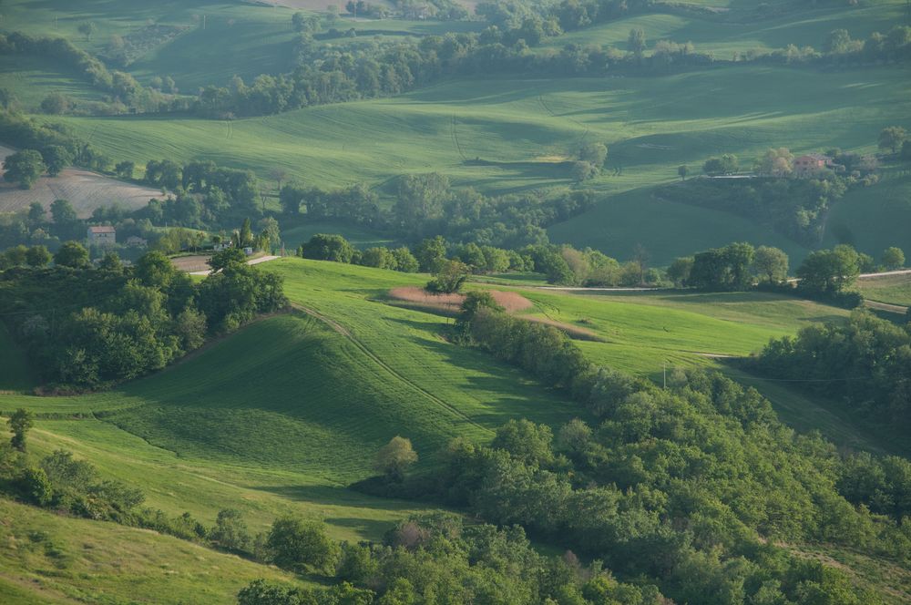 Campagna marchigiana