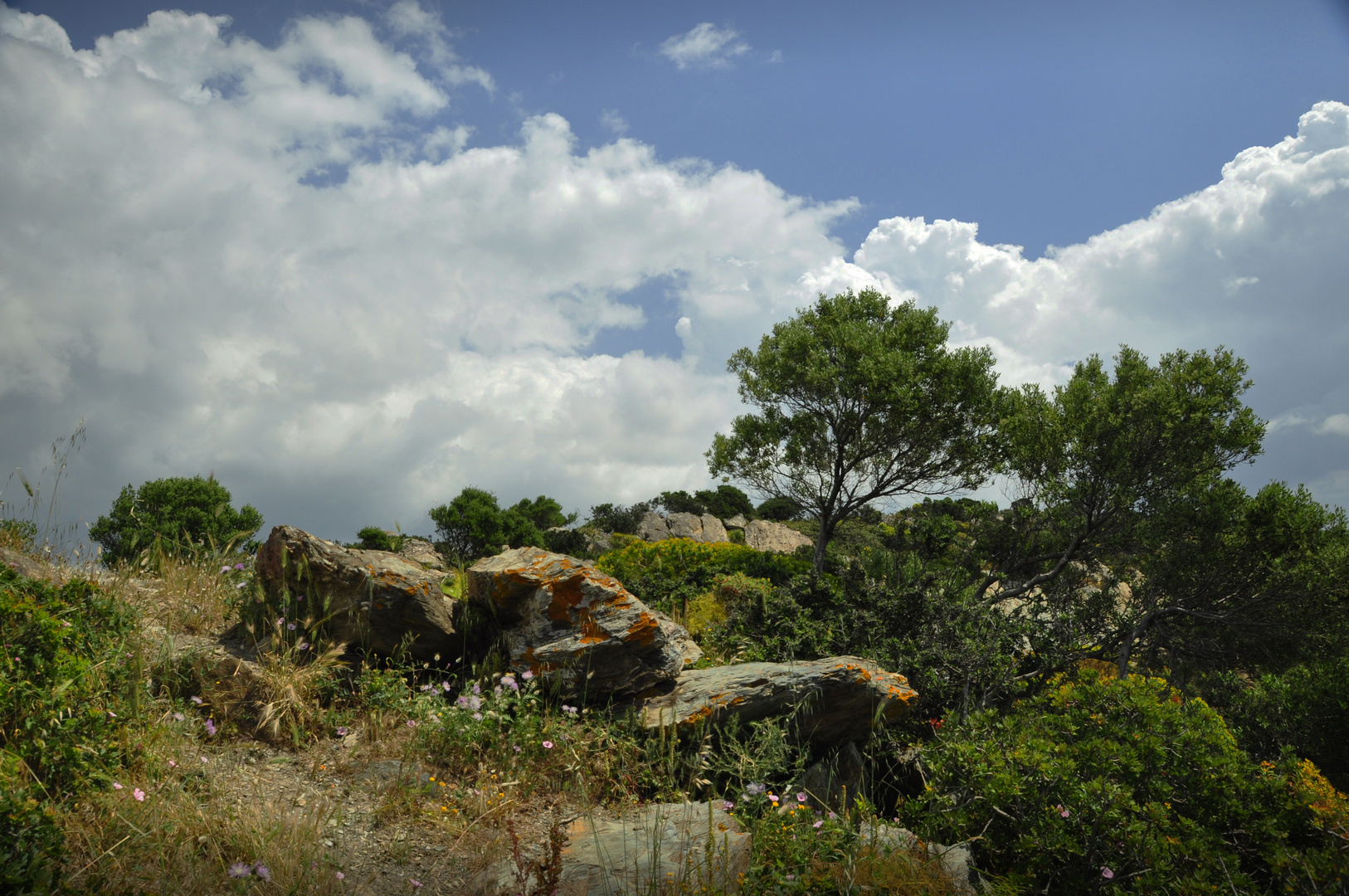 Campagna Marittima