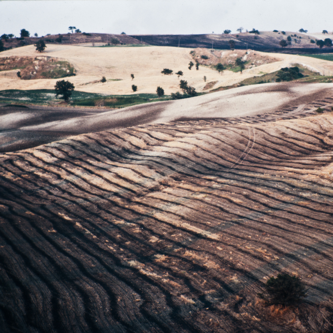 Campagna Molisana 1986 - 2