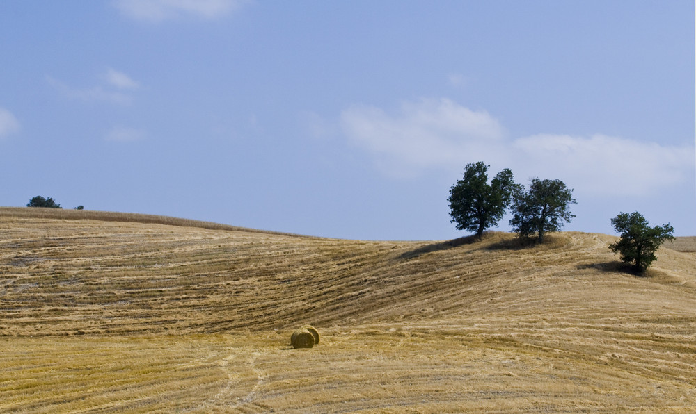 Campagna molisana