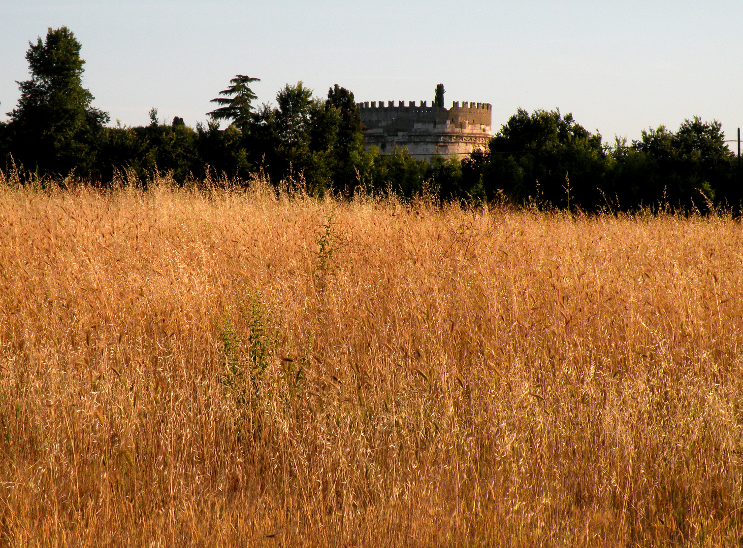 Campagna molto ...romana