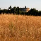 Campagna molto ...romana