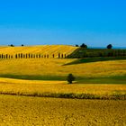 Campagna Monferrato