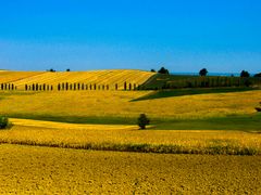 Campagna Monferrato