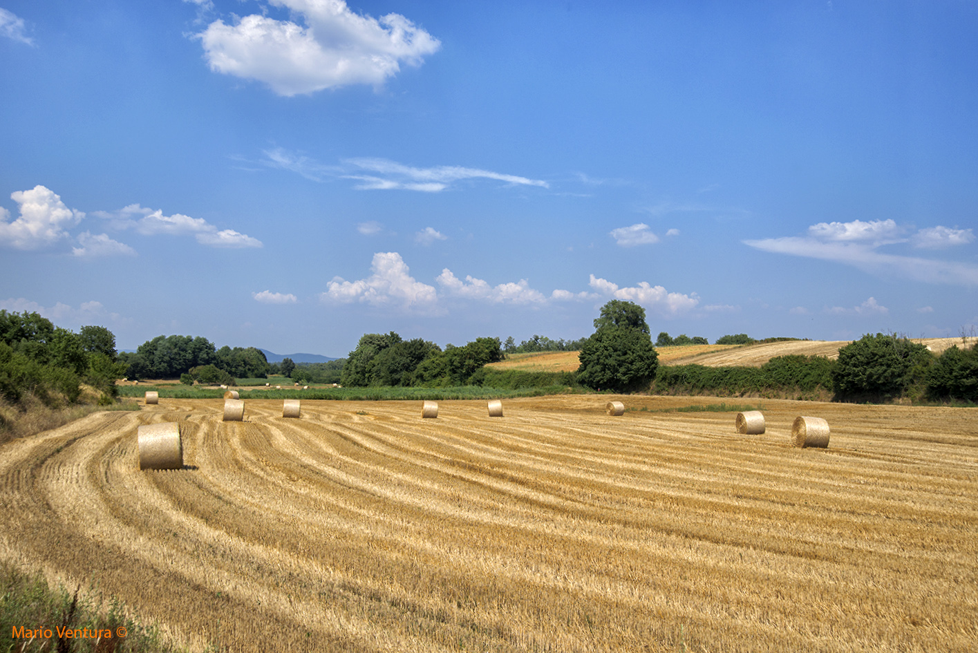 Campagna nel viterbese a luglio