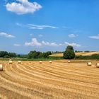 Campagna nel viterbese a luglio