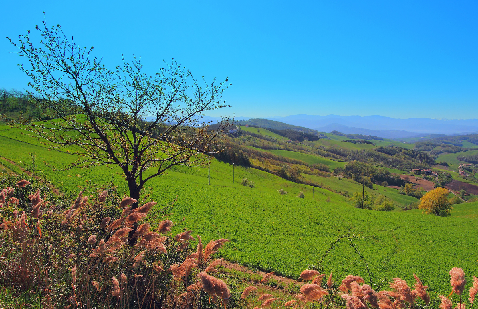 Campagna parmense