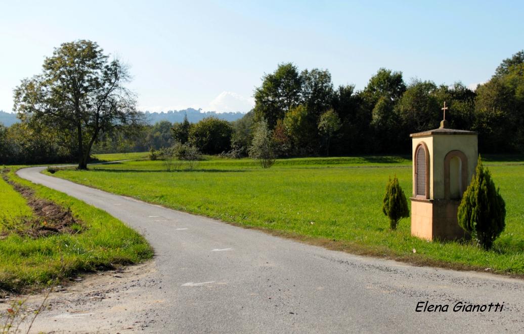 Campagna piemontese...