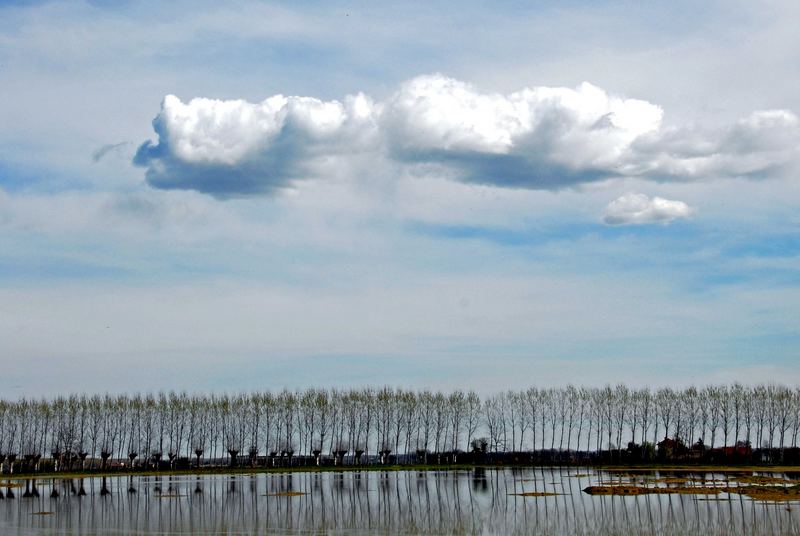 Campagna Piemontese