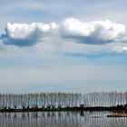 Campagna Piemontese