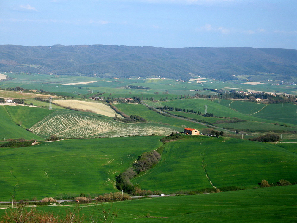 campagna pisana