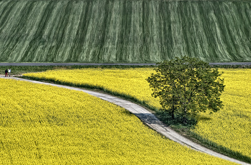 Campagna Primaverile