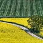 Campagna Primaverile