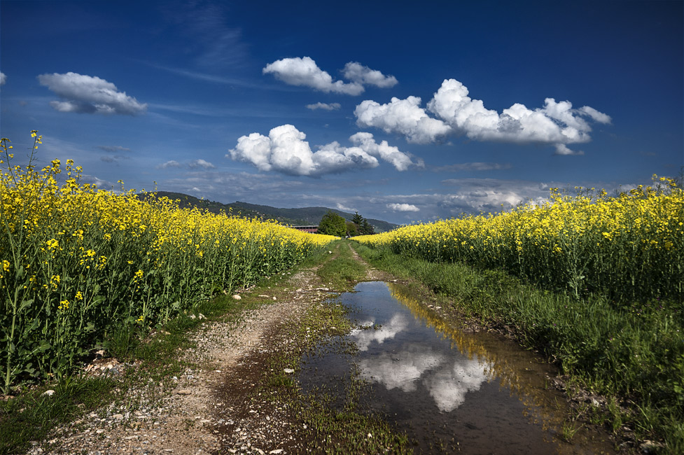 Campagna primaverile