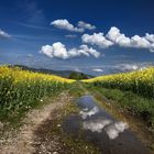 Campagna primaverile