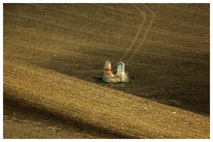 Campagna pugliese