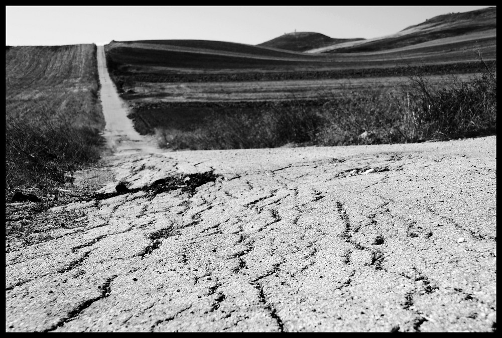 Campagna Pugliese (Poggiorsini)