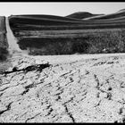 Campagna Pugliese (Poggiorsini)