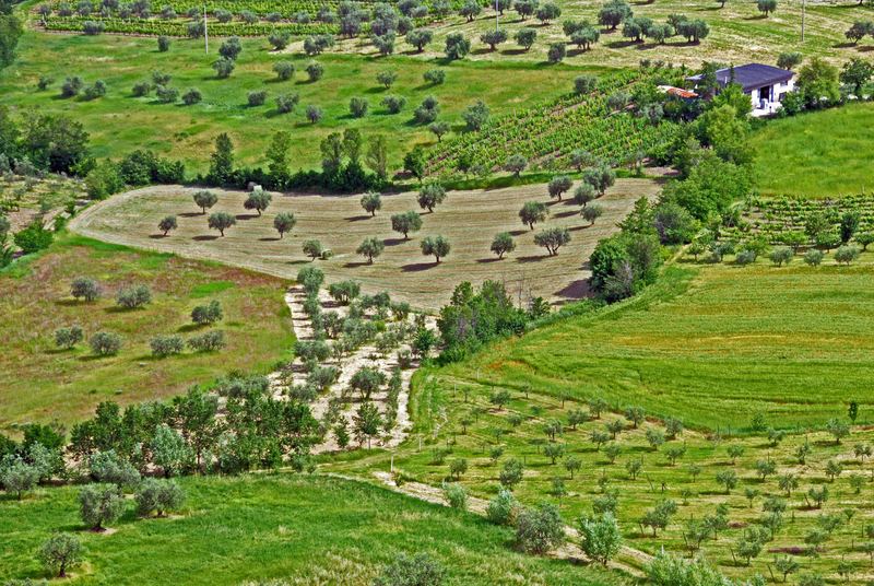 Campagna Romagnola